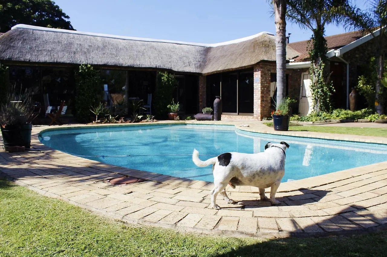 Guest house Amani Guest Lodge Port Elizabeth